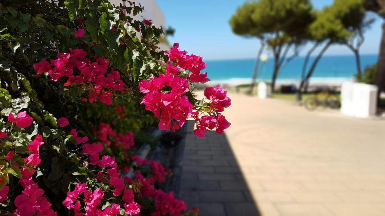 Apartamentos El Arrecife Кониль-де-ла-Фронтера Экстерьер фото